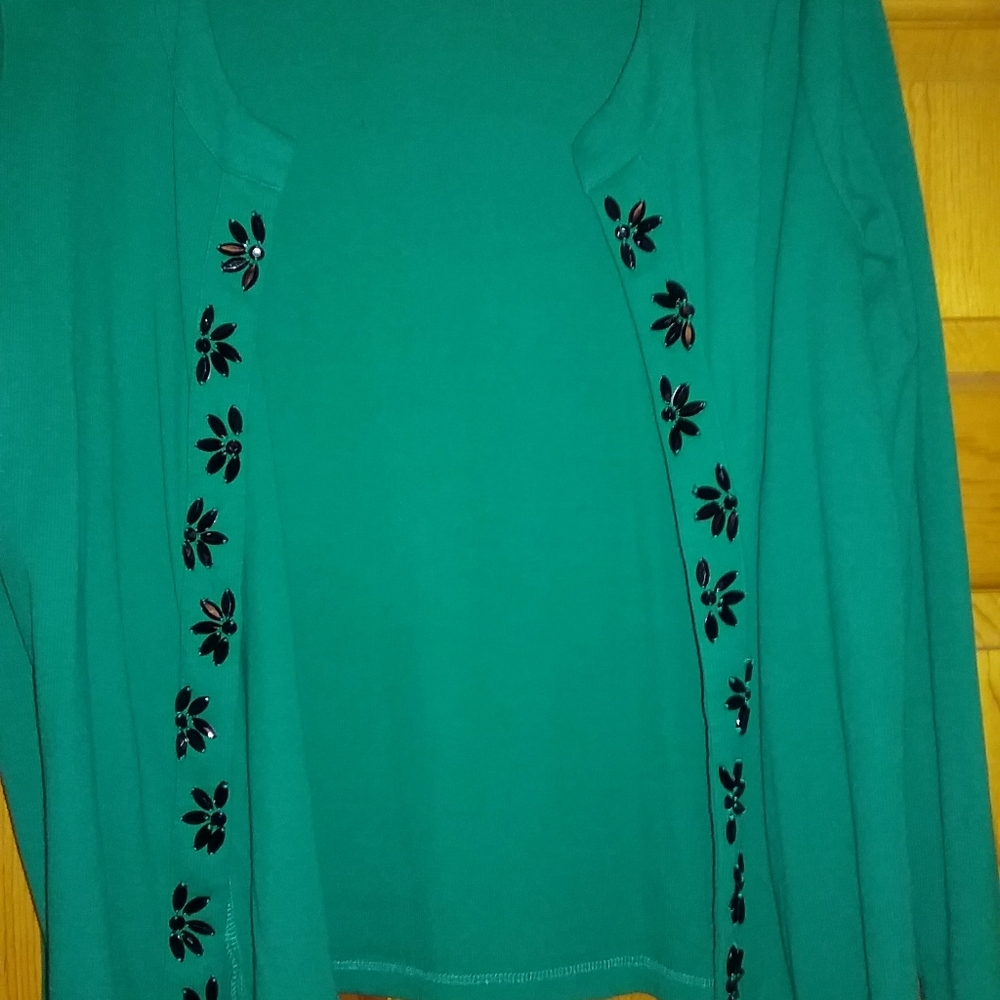 beaded twin set